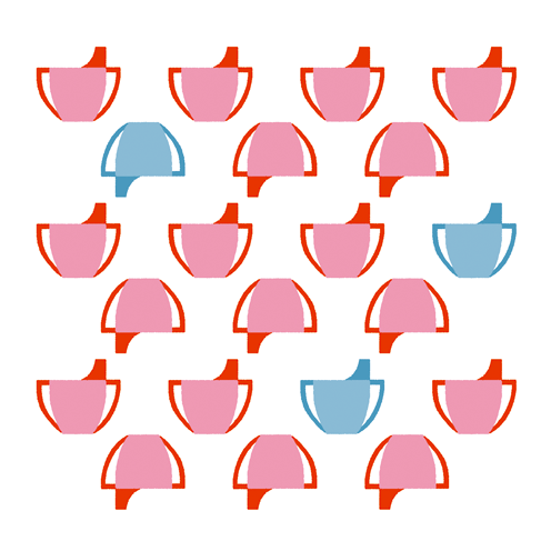 geboortekaartje poesjes