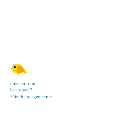 geboortekaartje vliegtuig